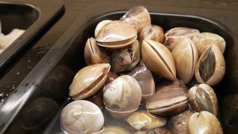 raw-live-fresh-clams-at-buffet-restaurant-ready-to-cook