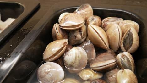 almejas frescas crudas vivas en el restaurante buffet listas para cocinar