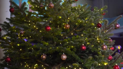 Christmas-at-church,-real-Christmas-tree-with-decorations,-ornaments-and-star-on-top,-painted-ceiling-with-angels