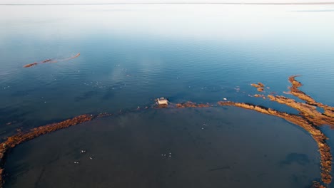 Abgelegene-Austernhütte-Mitten-Im-Meer,-Umgeben-Von-Vögeln,-Sonnenuntergang