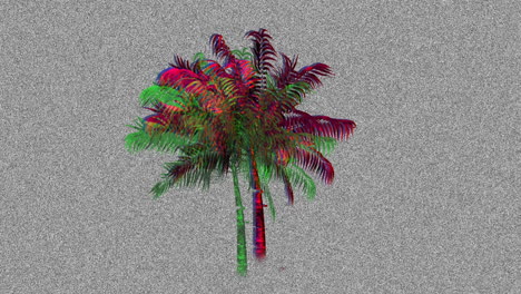 palmera y estática