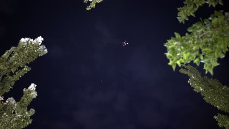 drone flying on a night sky next to some trees, view from the ground