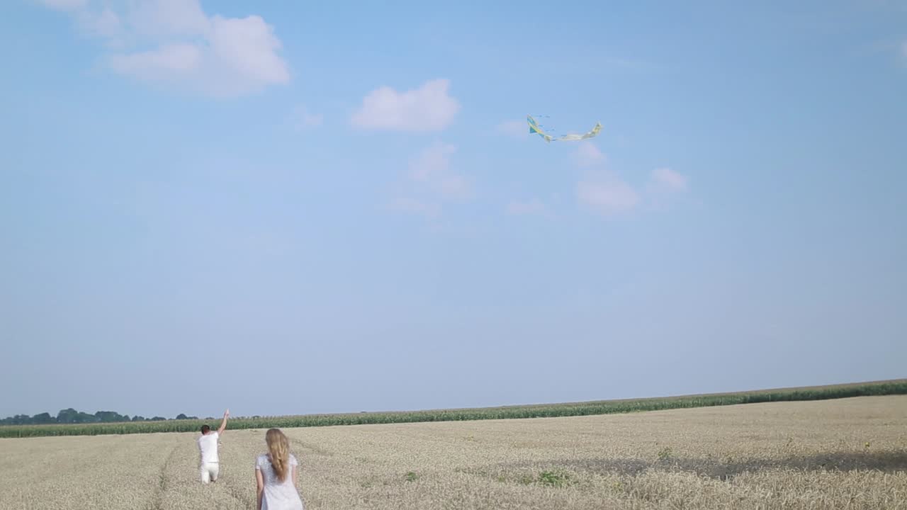 Funny Carefree Couple Enjoying Freetime. Lovely couple play with air kite at green landscape meadow in countryside