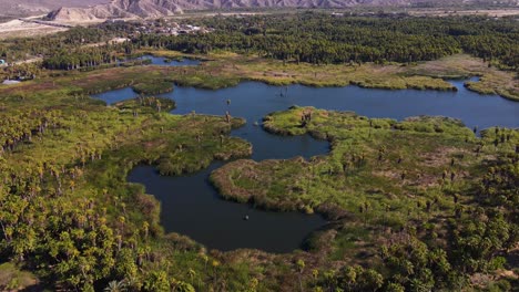 Antena:-Oasis-De-Laguna-De-Agua-Dulce-En-El-Desierto-Mexicano,-Toma-De-Drones-Inclinados-Hacia-Arriba