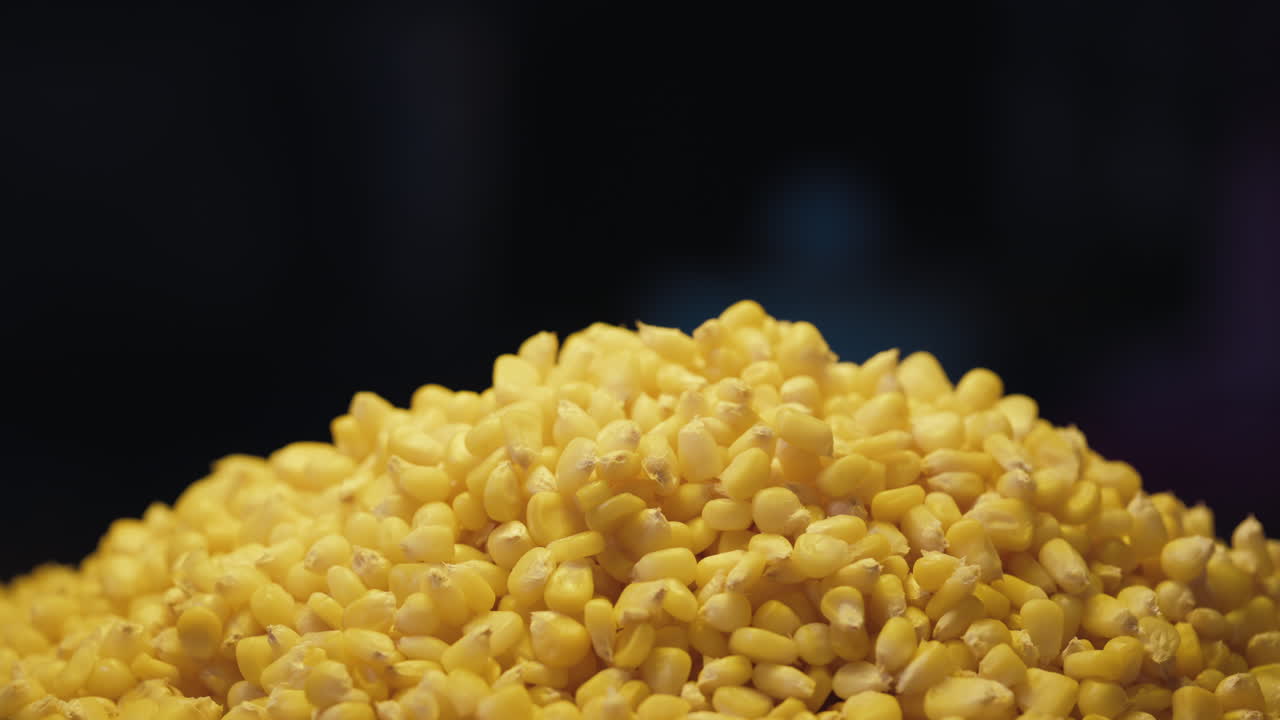 Pile of Yellow Corn Kernels