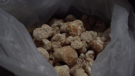 Mushroom-garbling-and-sorting-upstairs-at-market-in-China