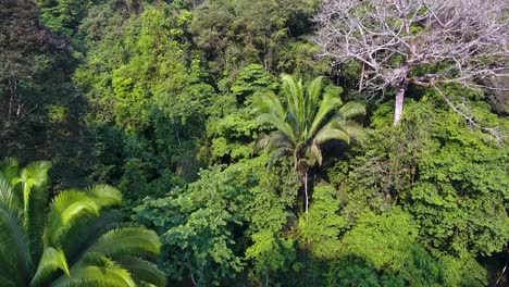 Antenne-Der-Kalksteinhügel-In-Der-Nähe-Von-Candeleria-Guatemala-2