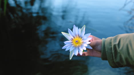 nahaufnahme eines mannes oder einer frau, die eine blume hält