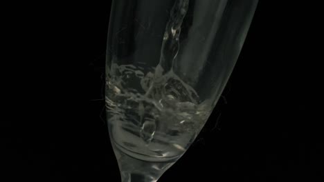 animation of champagne pouring into glass on black background