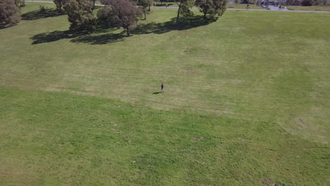 Aerial:-Someone-walking-in-a-field-of-grass-and-up-the-hill