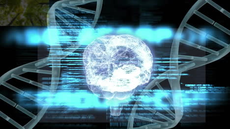 Animación-Del-Cerebro-Humano,-Cadenas-De-ADN-Y-Procesamiento-De-Datos.