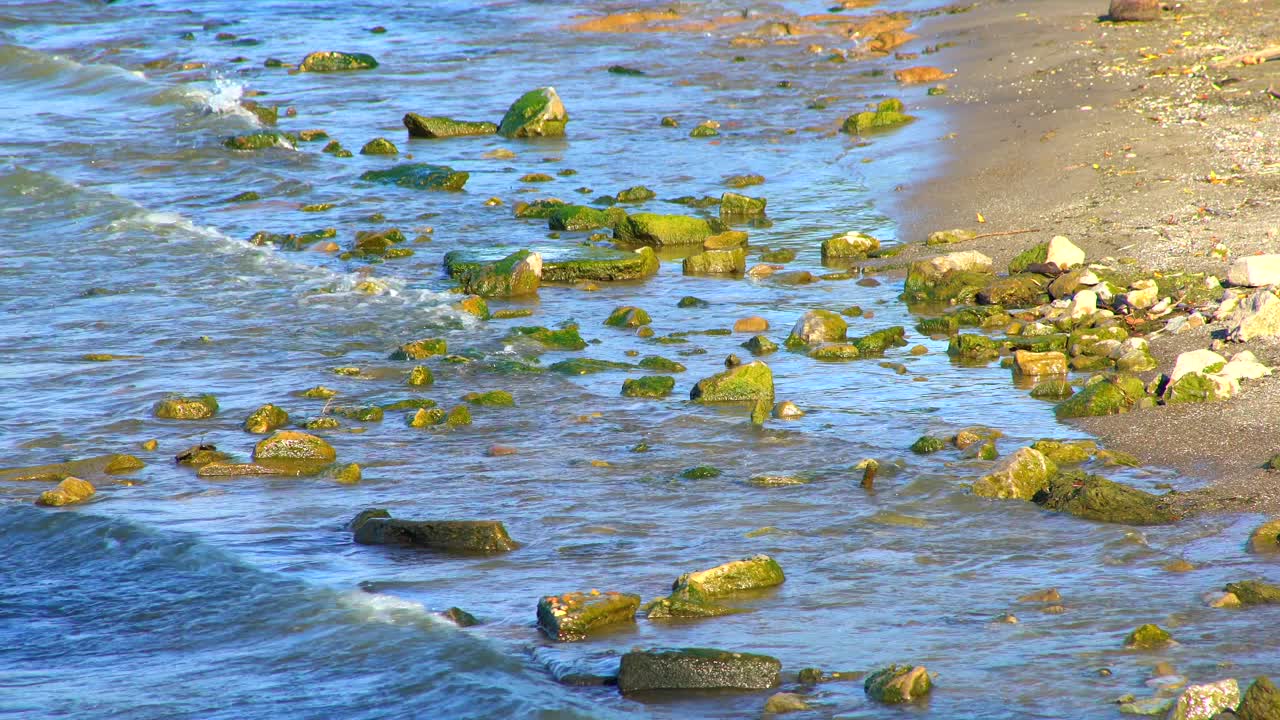 olas tranquilas que se estrellan contra piedras cubiertas de musgo en la playa, plano medio
