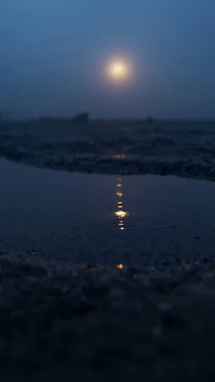 Video vertikal: Refleksi bulan berkilauan bergeser di genangan air saat senja di pantai, hembusan angin membuat riak