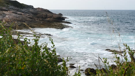 Paisaje-Marino-De-Playa-Rocosa-Con-Vegetación-En-Primer-Plano-Estático