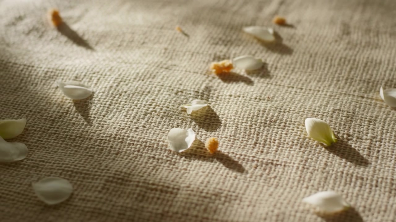 Close-up view of scattered white flower petals and tiny yellow pollen fragments resting and subtly settling on coarse beige woven fabric with warm side light, soft shadows, gentle organic detail