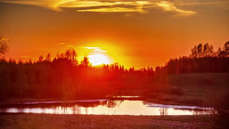 un lapso de tiempo en una puesta de sol sobre el bosque