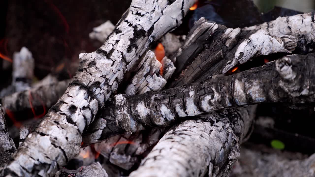 Close up of blazing fire. Flames of piece of firewood on open campfire