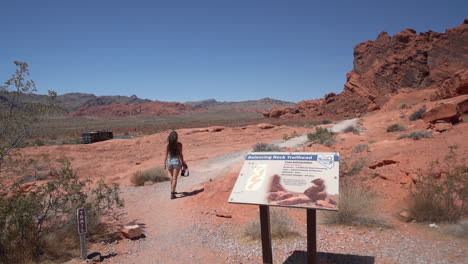 back of young female landscape photographer in valley of fire state park, nevada usa passing by balancing rock trailhead sign, slow motion