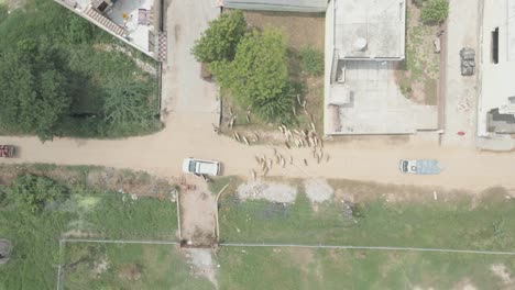 truck-follow-on-road-drone-shot