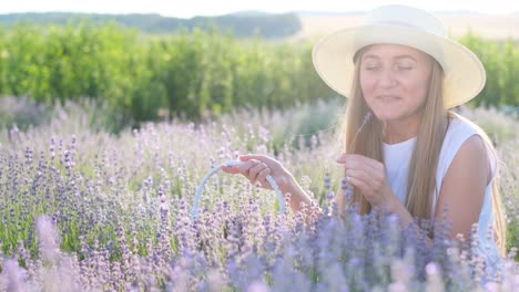 A Blonde Woman Sits in the Middle of a Lavender Plantation and Smells the Flowers a Blonde Woman Sits in the Middle of a Lavender Plantation and Smells the Flowers the Scent of Lavender Sunset Sunlight and Lavender