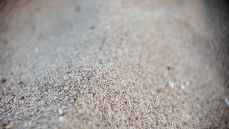 macro view of fine sand grains showcasing intricate textures and earthy tones