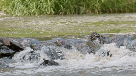 flowing river current cascades over rocks, slow motion pan