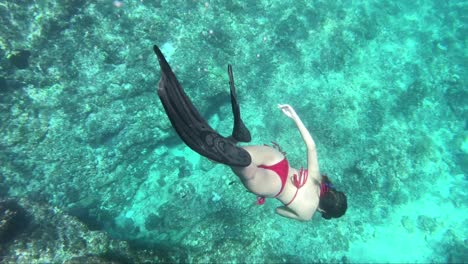 young female in red bikini freediving in warm and crystal clear tropical water