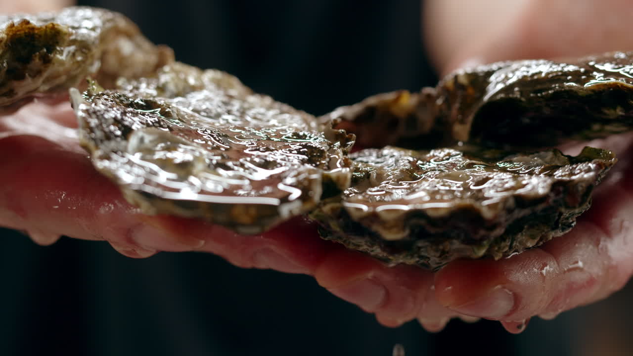 Fresh Oysters in Hand