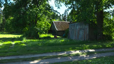 gorgeous static footage of a man with black clothing and tattoos using a gasoline powered lawn mower to cut green grass in timelapse or time lapse mode at a sunny countryside garden, old barn visible.