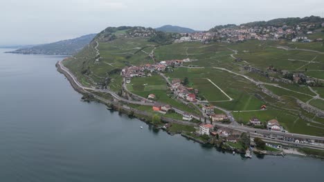 aerial panoramic: lavaux vineyards in switzerland, view from geneva lake, hilly region