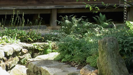 a stone-lined drainage channel bordered by ferns in a japanese garden