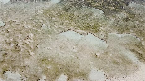 vista aérea de aves de drones del océano y los patrones de arena con arrecifes de coral durante la marea baja en timor-leste, sudeste asiático