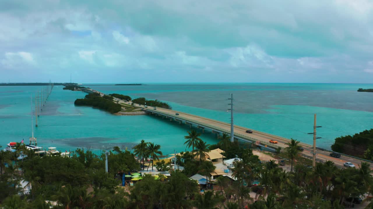 Filmato aereo 4K UHD con drone di palme accanto alla Highway One che porta da Miami fino a Key West in Florida. L'Oceano Atlantico turchese circonda centinaia di isole coralline.