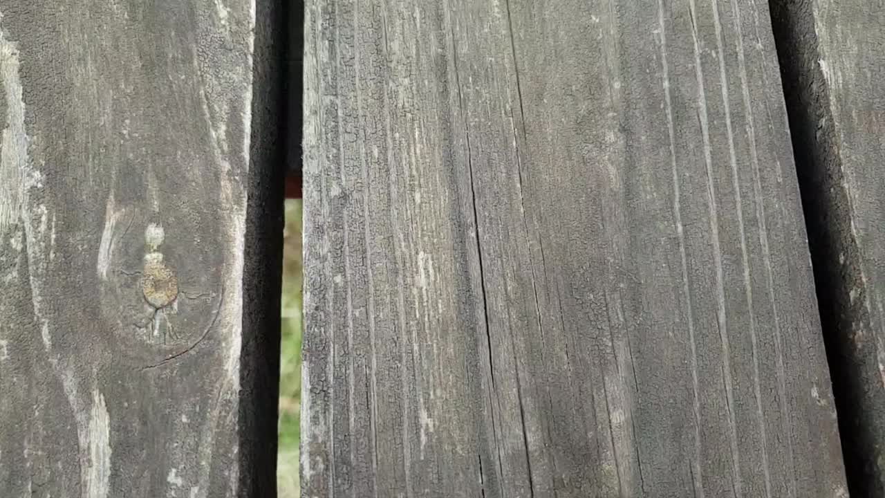 Weathered old rotting wooden patio walkway texture and parallax pattern slow motion footage