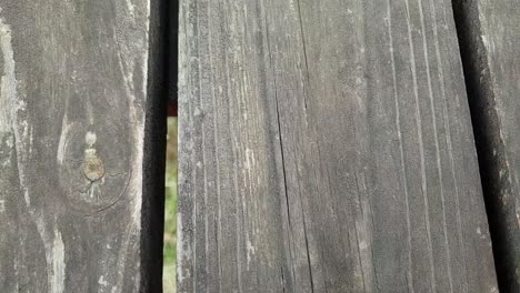 weathered old rotting wooden patio walkway texture and parallax pattern slow motion footage
