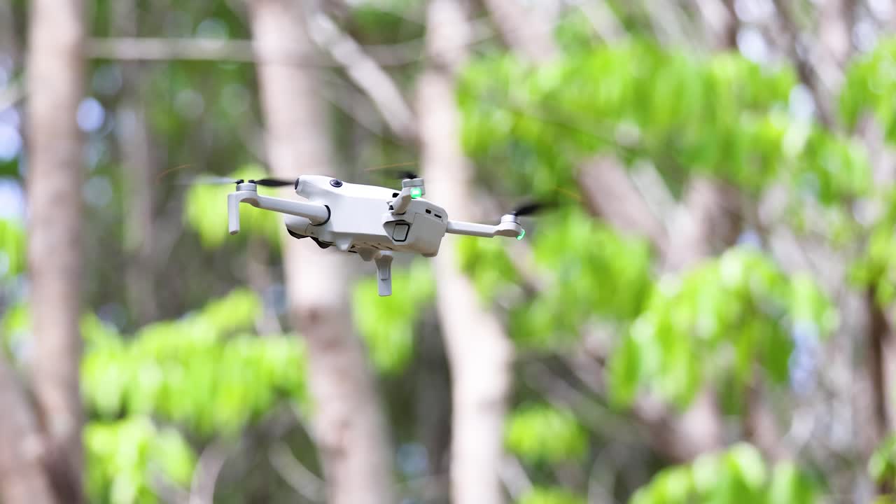Quadcopter drone hovers steadily among rubber trees, bright daylight, shallow depth of field