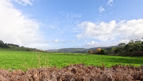 lush green fields and distant hills