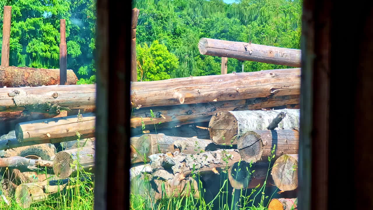 A Log-loading Tractor With Stack Logs Viewed From A Window. Close-up Shot