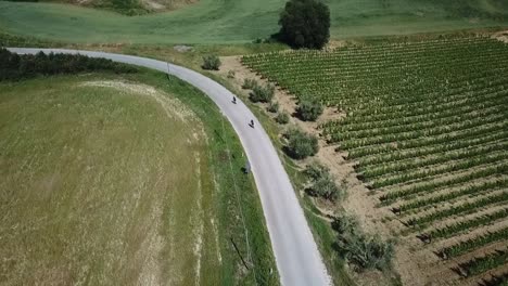 aerial drone shot of cyclists riding through tuscan vineyard landscape