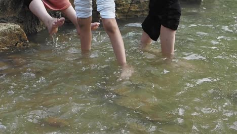 children playing in a shallow stream