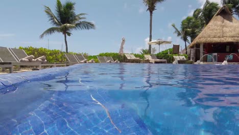 nice view from a resort pool in a nice sunny day with blue skies