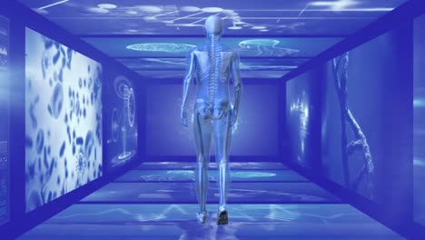 Back-view-of-3D-man-walking-hallway-of-scientist-screen