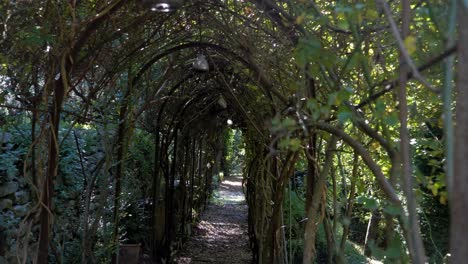 slow motion revealing shot of a tree archway with a walkway in a castle garden