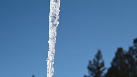 icicle hanging from lightbulb during the winter on a cloudless day, close up