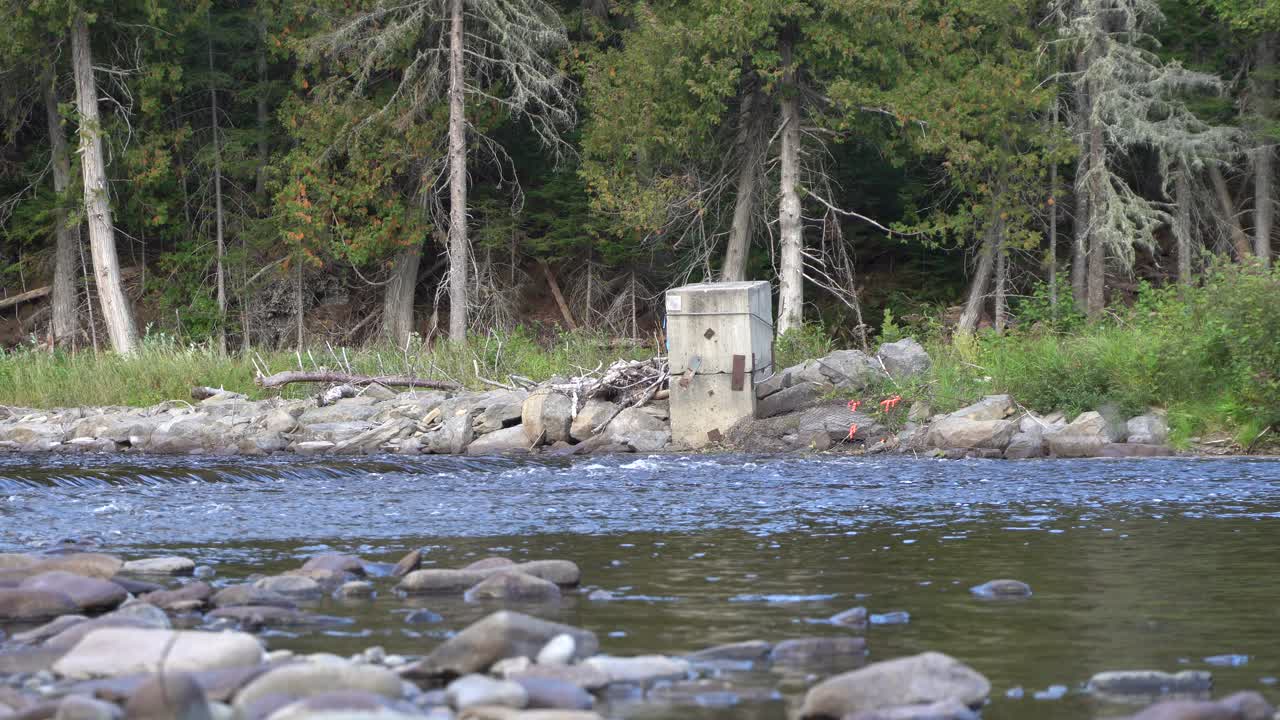 바위 위로 흐르는 숲 근처의 강 유역과 오래된 콘크리트 말뚝