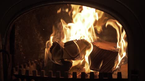 silver birch logs burning in wrought iron stove