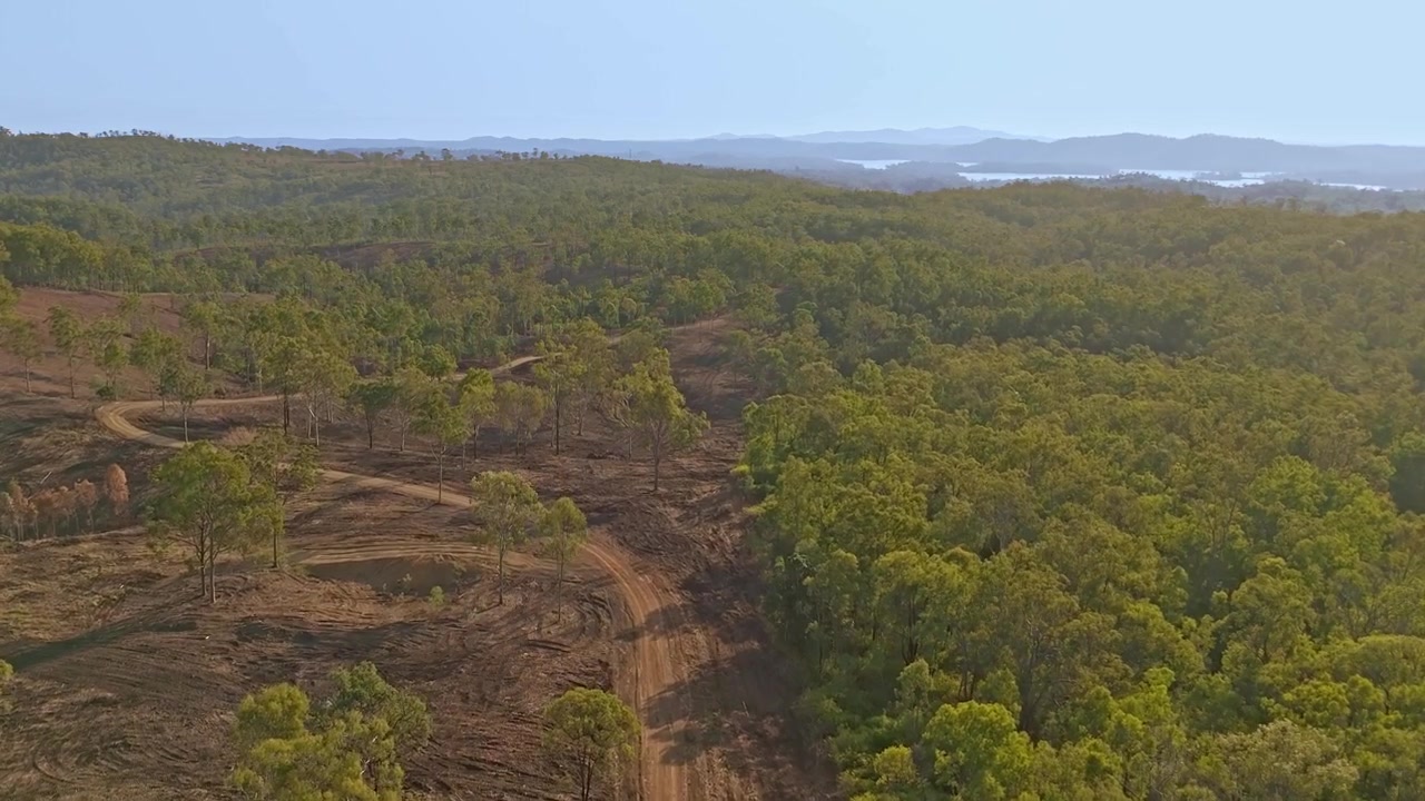 A recently graded dirt road cuts through the thick vegetatation of the Australian bush