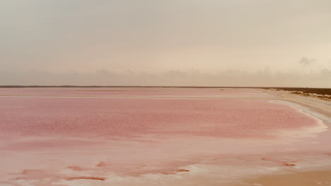 Adelante-Sobrevuela-Sistema-De-Balsas-Para-Extracción-De-Sal.-Color-Rosado-Poco-Común-Del-Agua-Debido-A-Los-Microorganismos-Que-Viven-En-Los-Lagos.-Las-Coloradas,-Yucatán,-México