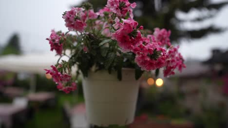ramo de flores colgando en el jardín, pétalos empapados de lluvia en una hermosa decoración de evento en el patio trasero
