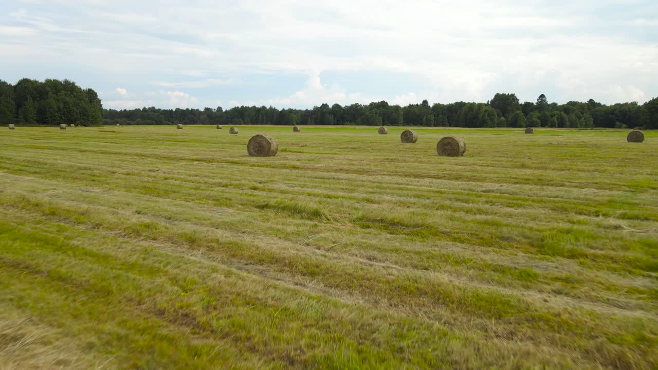 Flying low over sundown green grass field after haymaking. FPV fly through between golden round hay bales across the freshly mowed summer farmland meadow with sun dried hay. Trees line the horizon